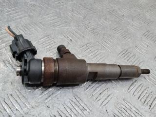 форсунка Citroen C3 1 поколение [рестайлинг] 2008, 1.4 л., 8HZ (DV4TD), дизель, МКПП, 0445110252