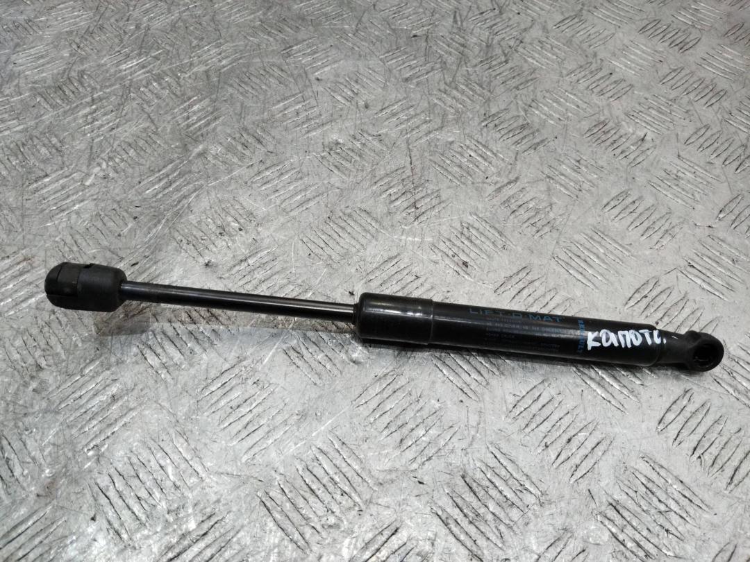 амортизатор капота Renault Scenic 3 поколение 2010, 654700008R - фото №1