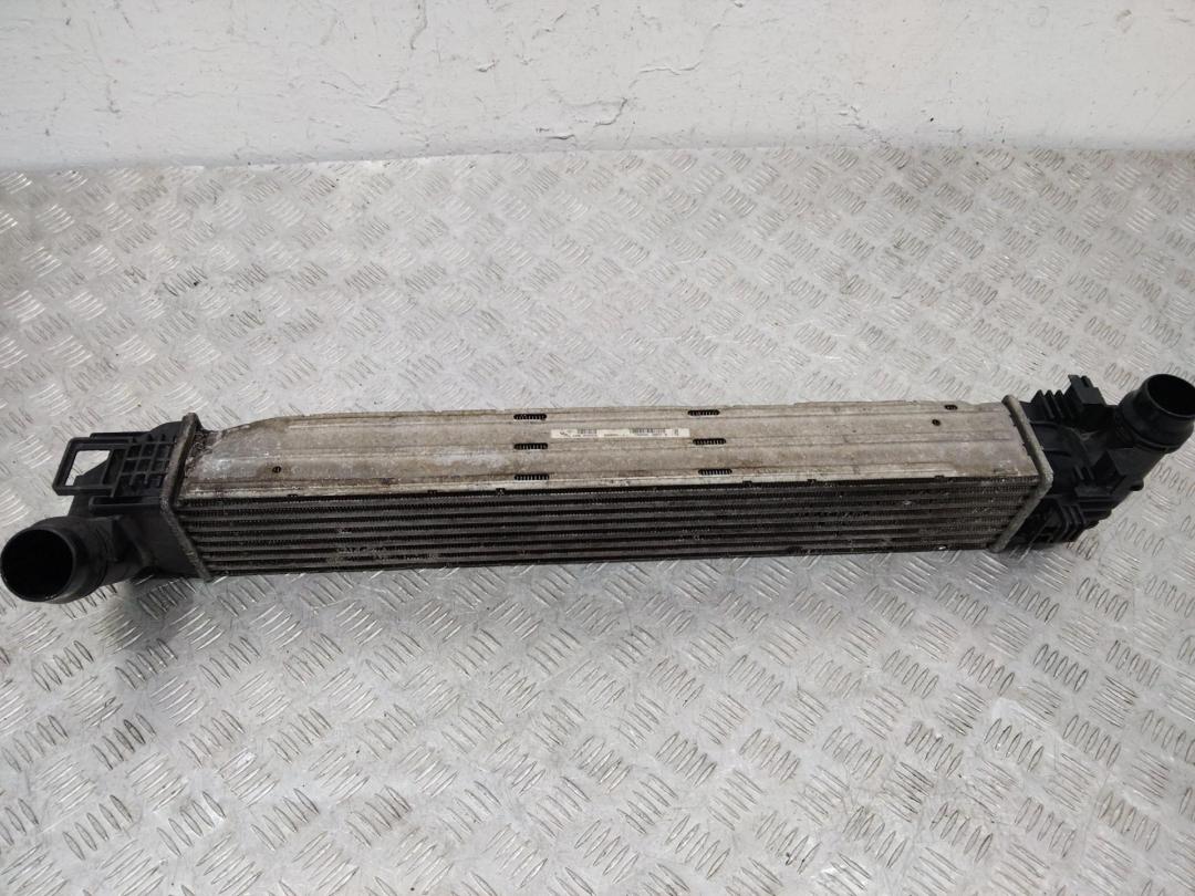 интеркулер Renault Duster 1 поколение (2010 - 2015), 8200880552 - фото №1