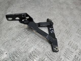 петля крышки багажника Porsche Boxster 987 [рестайлинг] 2006, 98751215100