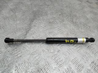 амортизатор капота BMW X5 E53 [рестайлинг] 2004, 3.0 л., дизель