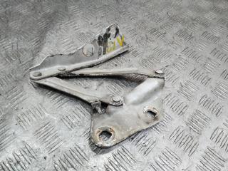 петля капота левая Ford Transit 8 поколение 2014, BK2116801AC