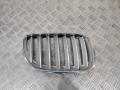 решетка радиатора BMW X5 E53 [рестайлинг] 2004, 7113738 - фото №2