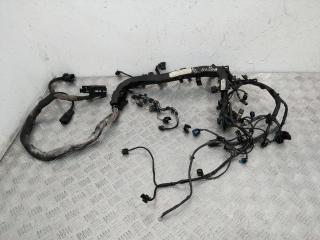 проводка двигателя Mercedes-Benz Sprinter 2 поколение [рестайлинг] (W906) 2015, 2.2 л., дизель, АКПП, A6511508656