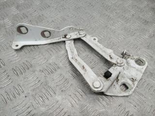 петля капота правая Ford Transit 8 поколение 2016, BK2116800AD