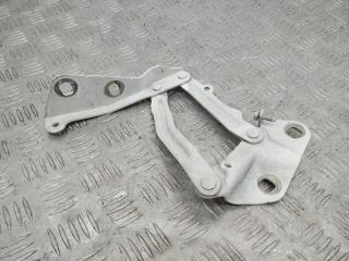 петля капота правая Ford Transit 8 поколение 2016, BK2116800AD