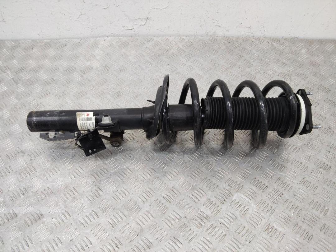 амортизатор передний Ford Transit 8 поколение 2017, BK3118045BC - фото №1