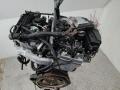 двигатель Mercedes-Benz C-Класс W203/S203/CL203 [рестайлинг] 2005, 2.2 л., дизель, 646963 - фото №3