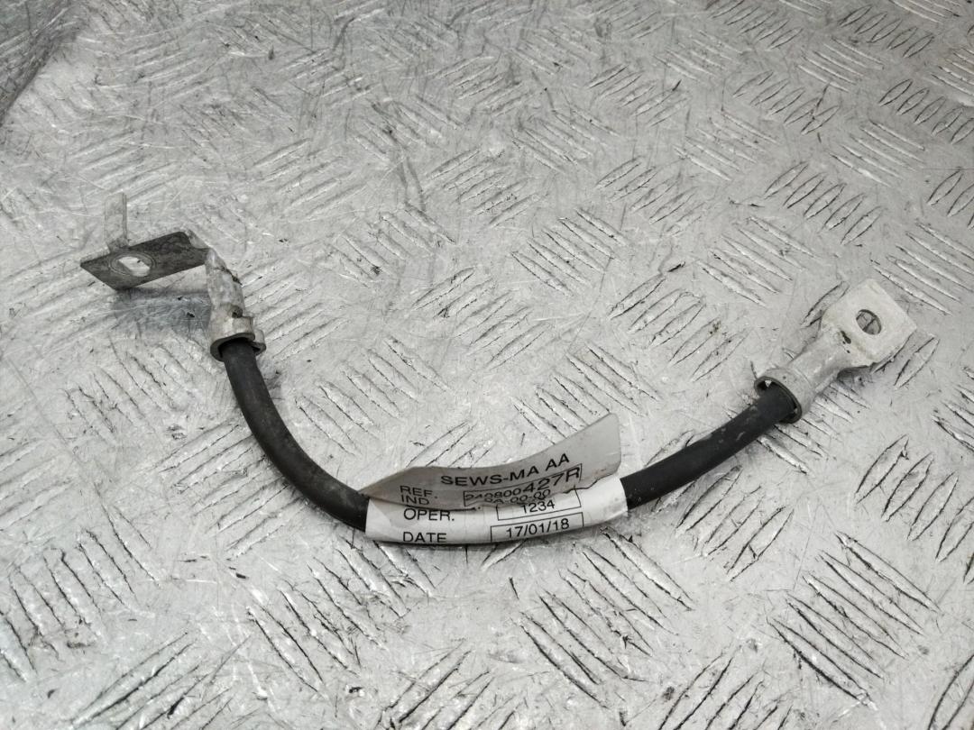 минусовой провод аккумулятора Renault Talisman 1 поколение 2016, 1.5 л., дизель, 240800427R - фото №1