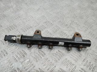 топливная рампа Peugeot 208 1 поколение 2012, 1.4 л., 8HR (DV4C), дизель, 9685297580