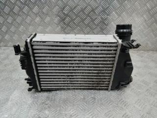 интеркулер Renault Kadjar 1 поколение [рестайлинг] 2018, 144614EA1B