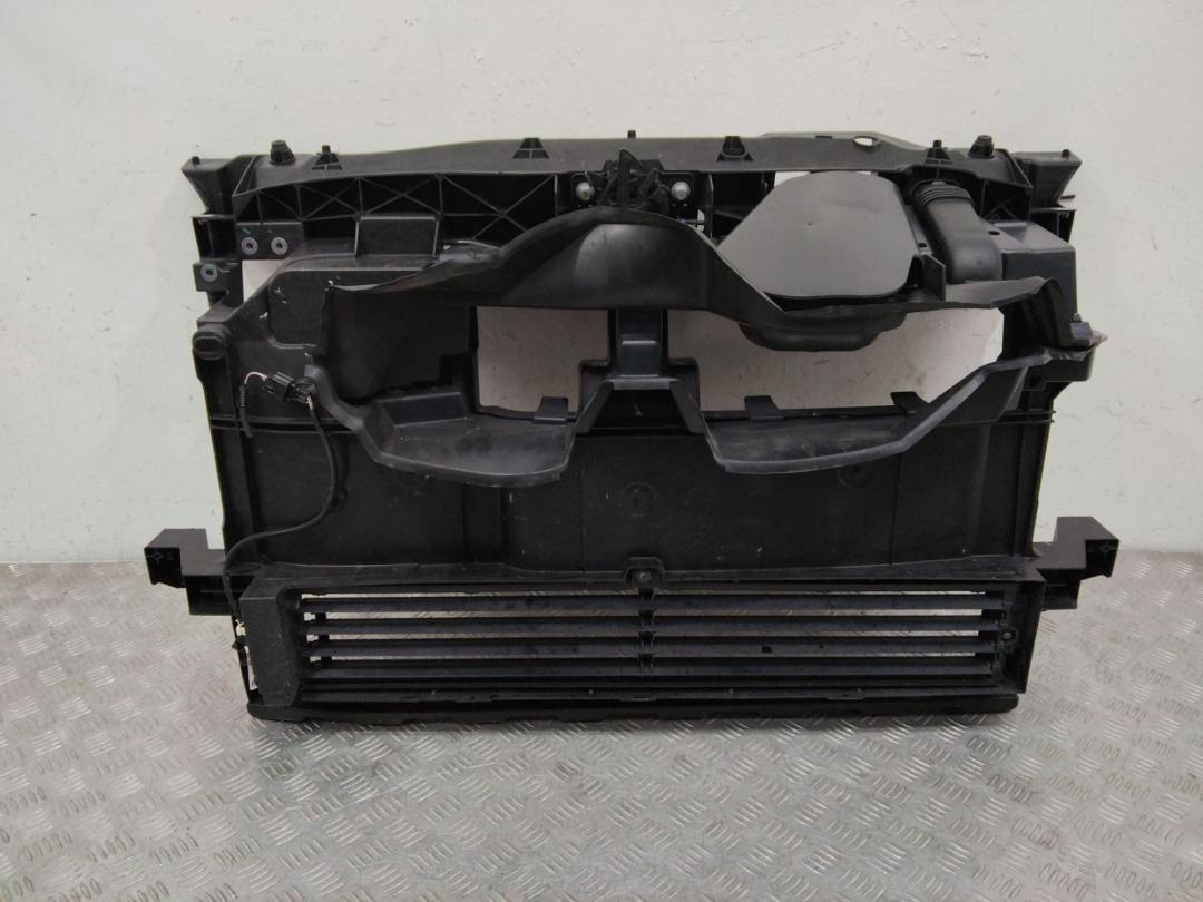 передняя панель крепления облицовки (телевизор) Renault Scenic 4 поколение 2019, 625007789R - фото №1