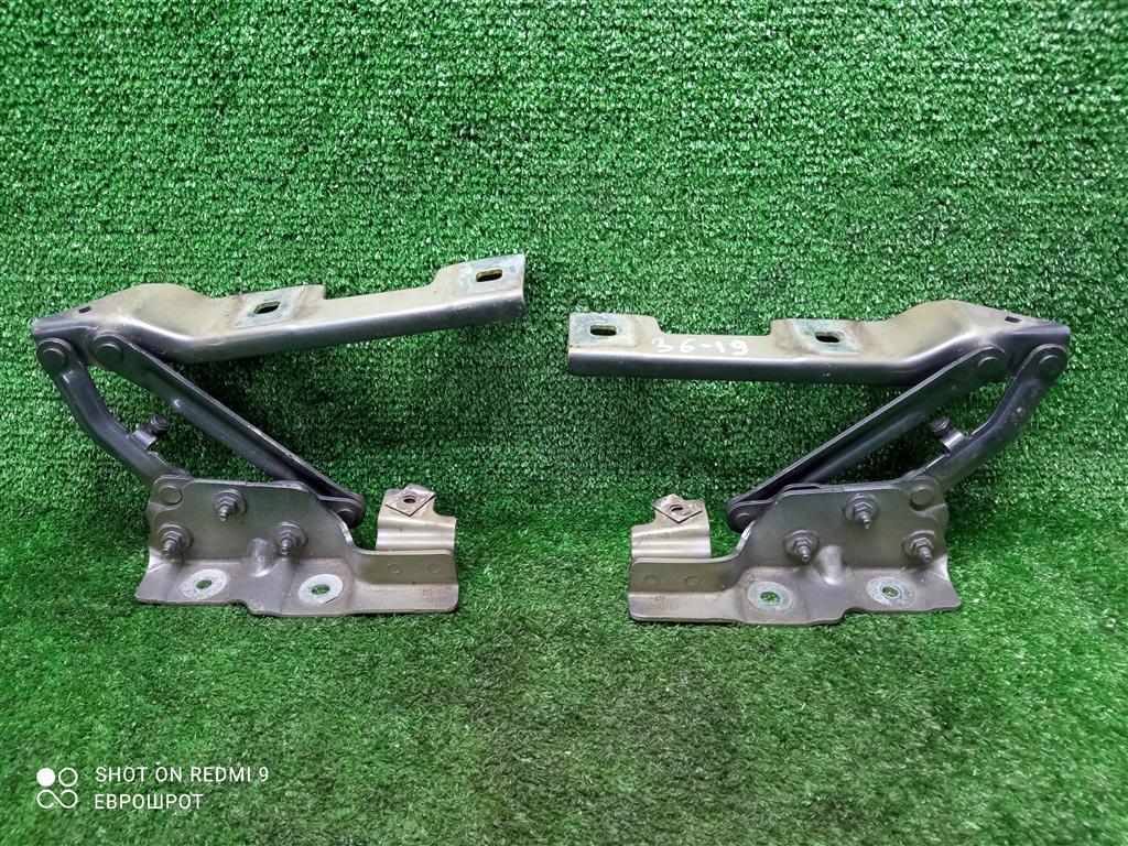 петля капота Opel Astra J рестайлинг (2012—2018) 2014, 1.6i A16XER, 20879202 - фото №1