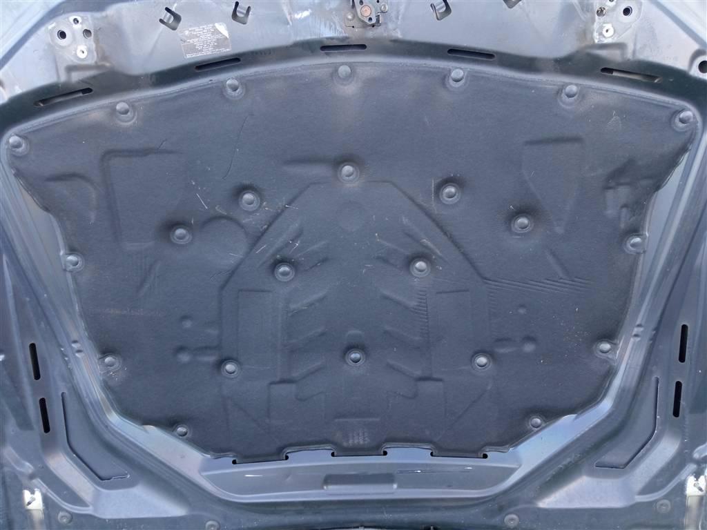 шумоизоляция капота BMW 5 серия F10/F11 (2009—2013) 2011, 2.0TD N47D20C, 51486989301 - фото №1
