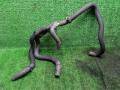 патрубок отопителя (печки) Nissan Qashqai I (2006—2010) 2009, 1.5TD K9K 282, 92400JD50B - фото №3