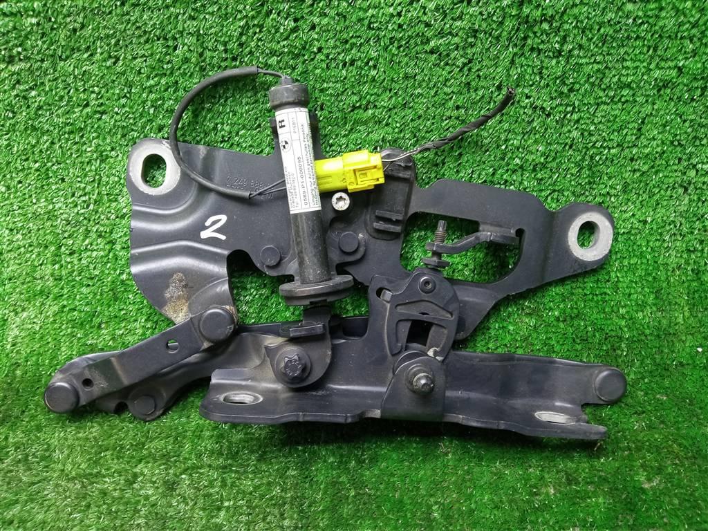 петля капота правая BMW 5 серия F10/F11 (2009—2013) 2011, 2.0TD N47D20C, 41007249888 - фото №1