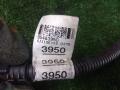 проводка Chevrolet Captiva I (2006—2011) 2010, 2.2DZ22D1, 95483950 - фото №6