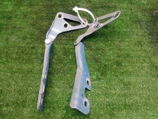 петля капота Opel Vectra C рестайлинг (2005—2008) 2007, 1.8i Z18XER, 13213449