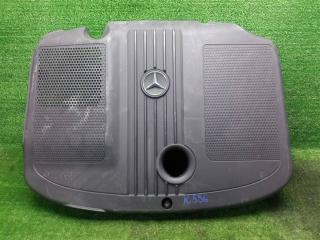 накладка декоративная Mercedes-Benz CLS-Класс C218/X218 (2010—2014) 2013, 2.2TD 651.924, 6510101467