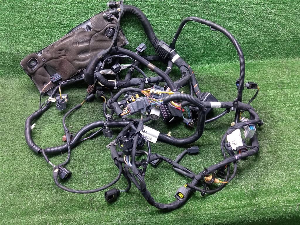 проводка Jaguar XF I (2007—2011) 2010, 3.0TD 306DT, 9X2Q9H589CD - фото №1