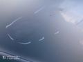 дверь передняя правая Opel Zafira B рестайлинг (2008—2014) 2010, 1.8i Z18XER, 13203014 - фото №6
