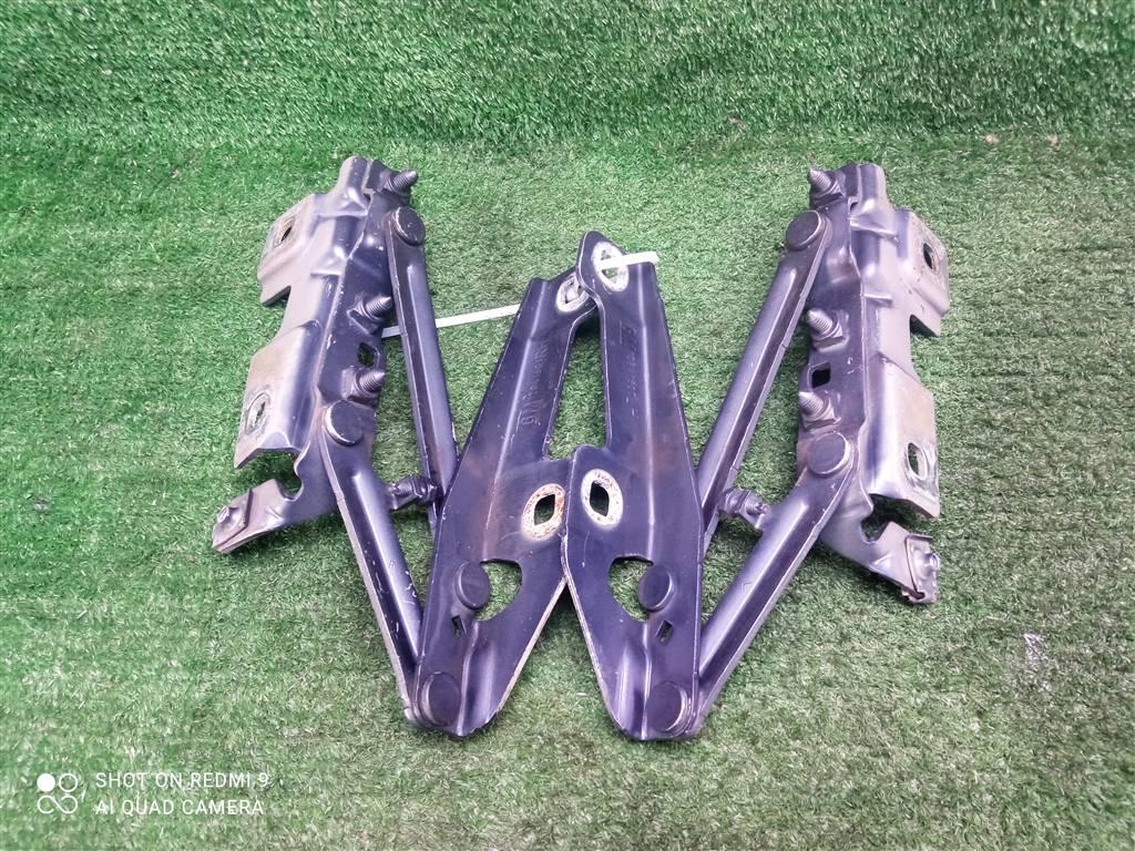 петля капота Opel Insignia I (2008—2013) 2010, 2.0TD A20DTH, 12841600 - фото №1