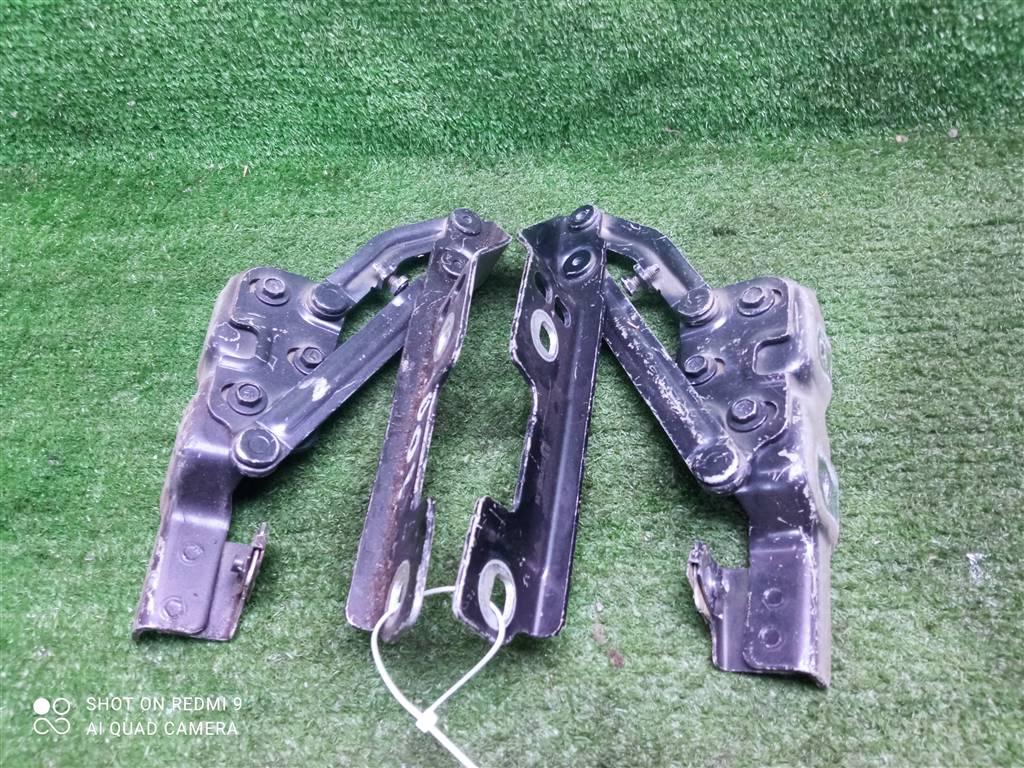 петля капота Opel Astra J рестайлинг (2012—2018) 2014, 1.6i A16XER, 20879202 - фото №1