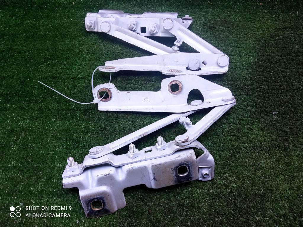 петля капота Opel Insignia I (2008—2013) 2010, 2.0TD A20DTH, 12841600 - фото №1
