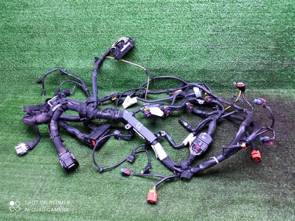 проводка Opel Insignia I (2008—2013) 2010, 2.0TD A20DTH, 55580911 - фото №1