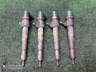 форсунка Opel Insignia I (2008—2013) 2010, 2.0TD A20DTH, 0445110327
