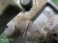 механизм выбора передач Opel Vectra C рестайлинг (2005—2008) 2007, 1.8i Z18XER, 24449710 - фото №5