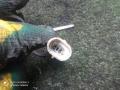 муфта компрессора кондиционера Opel Astra H рестайлинг (2006—2014) 2012, 1.8i Z18XER, 1618324 - фото №5