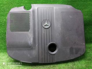 накладка декоративная Mercedes-Benz C-Класс W204/S204 (2006—2011) 2010, 2.2TD 651.913, 6510102167