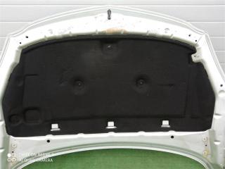 шумоизоляция капота Opel Insignia I (2008—2013) 2010, 2.0TD A20DTH, 13308394