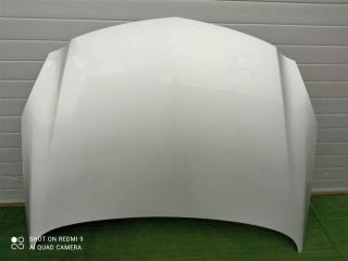 капот Opel Insignia I (2008—2013) 2010, 2.0TD A20DTH, 1160013