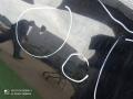 капот Opel Zafira B рестайлинг (2008—2014) 2010, 1.8i Z18XER, 93184414 - фото №8