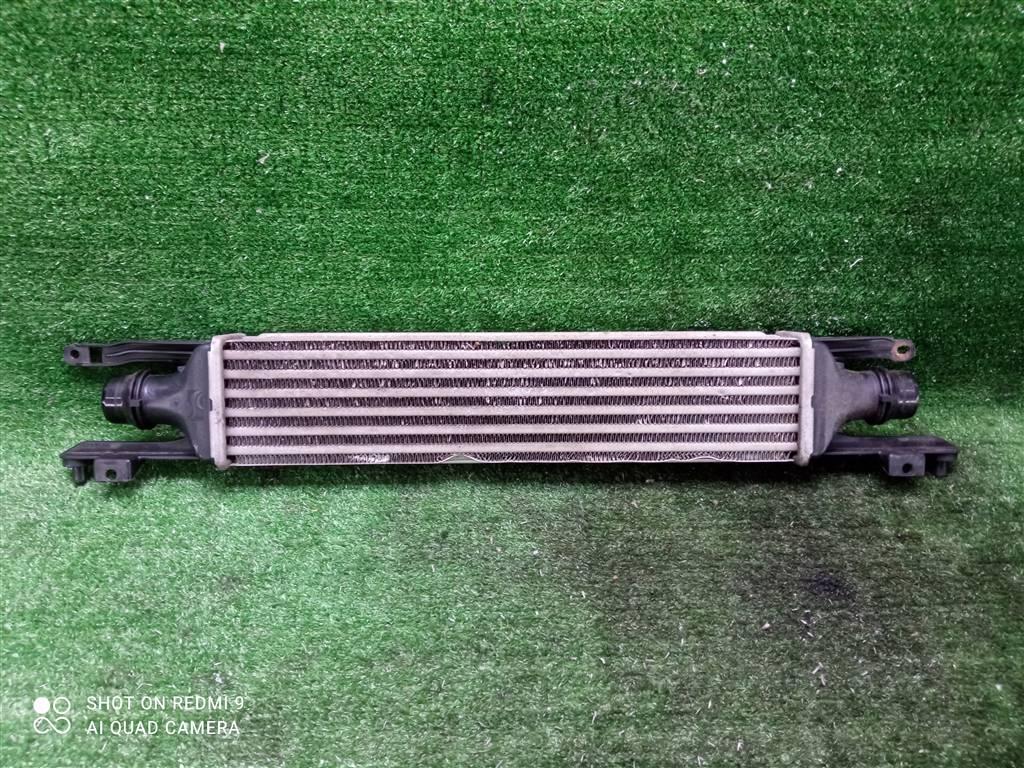 интеркулер Opel Corsa D (2006—2010) 2009, 1.3CDTI Z13DTJ, 55702194 - фото №1