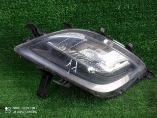 фара противотуманная левая Opel Astra J (2009—2012) 2010, 1.6i A16XER, 13264641