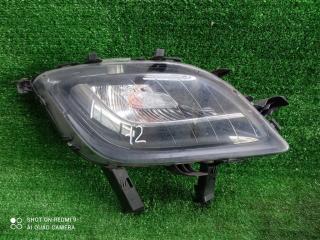 фара противотуманная правая Opel Astra J (2009—2012) 2010, 1.6i A16XER, 13264642