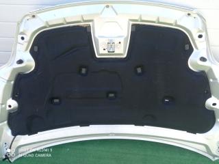 шумоизоляция капота Ford Focus II рестайлинг (2007—2011) 2010, 1.8i QQDB, 1519736