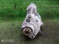 стартер Nissan Navara D40 (2004—2010) 2010, 2.5TD YD25DDTI, 23300EB71E - фото №2