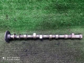 Распредвал выпускной Nissan Navara D40 (2004—2010) 2010, 2.5TD YD25DDTI, 130205X00A