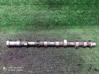 распредвал Nissan Navara D40 (2004—2010) 2010, 2.5TD YD25DDTI, 130205X00B