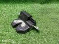 замок багажника Opel Corsa D (2006—2010) 2009, 1.4i Z14XEP, 55701971 - фото №3