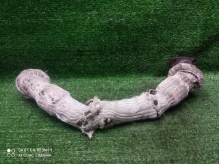 труба приемная глушителя Land Rover Range Rover Sport I (2005—2009) 2008, 2.7TD 276TDV6, 4H2Q6P647BJ