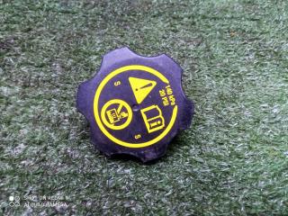 крышка расширительного бачка Opel Mokka I (2012—2016) 2015, 1.6i A16XER, 13502353