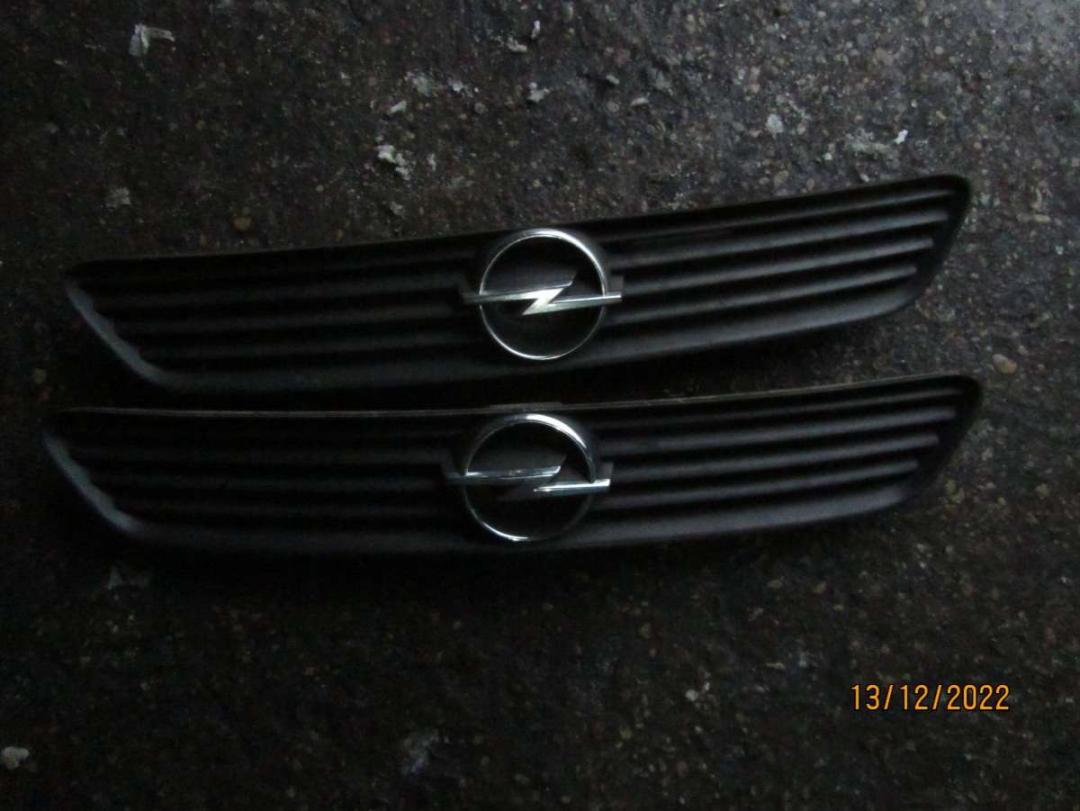 решетка радиатора Opel Astra G 2000 - фото №1