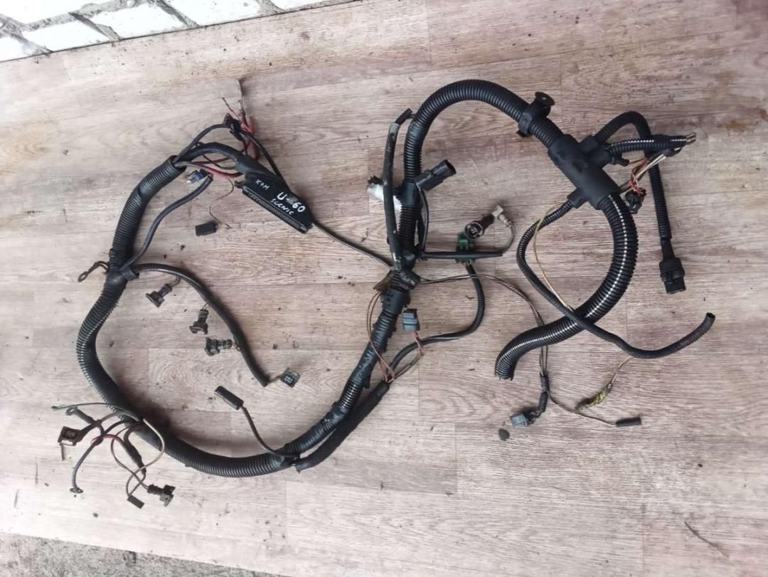 проводка двигателя Renault Scenic 1 поколение 1999, 1.6 л., i, бензин, МКПП, минивэн - фото №1