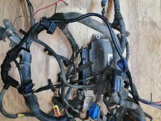 проводка двигателя Fiat Punto 1 поколение 1998, 1.2 л., бензин, МКПП, хетчбэк 5 дв.