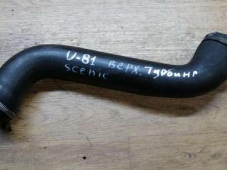 патрубок турбины Renault Scenic 1 поколение 1998, 1.9 л., DTi, дизель, МКПП, минивэн